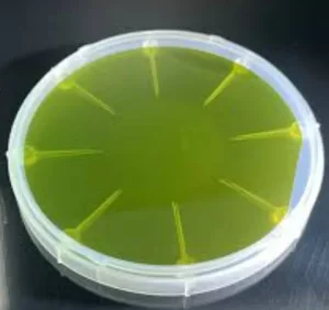 SiC wafer02 e1749623324736