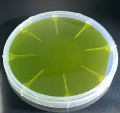 P Grade 8inch N type SiC substrate for semiconductor for Unmatched Semiconductor